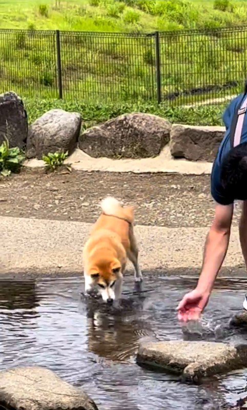 水に入ってしまったまりちゃん2