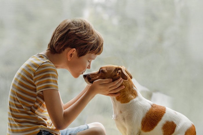 向き合う男の子と犬