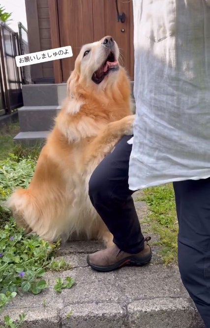 前足をかけるハルちゃん