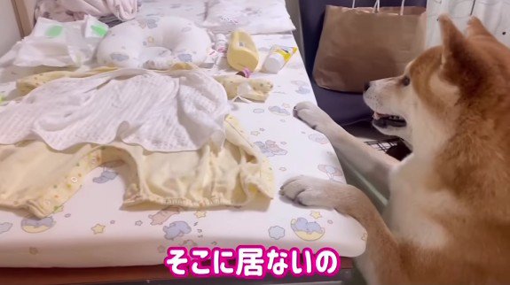 いないと教えても…