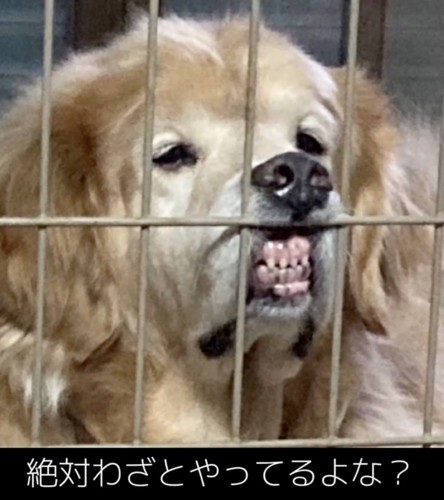 静かに不満をアピール中