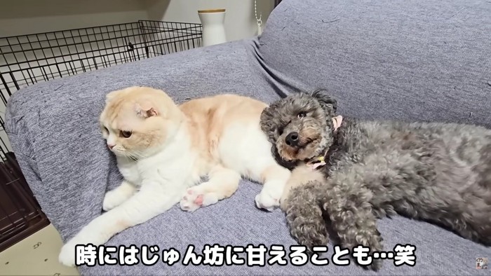 とっても仲良しな関係に…♡