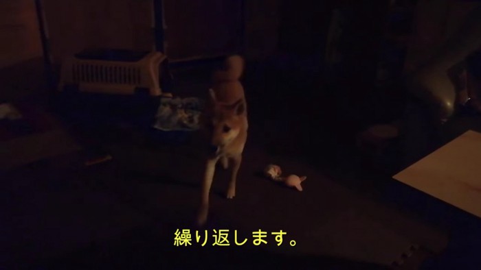 近づく様子を見せたそう