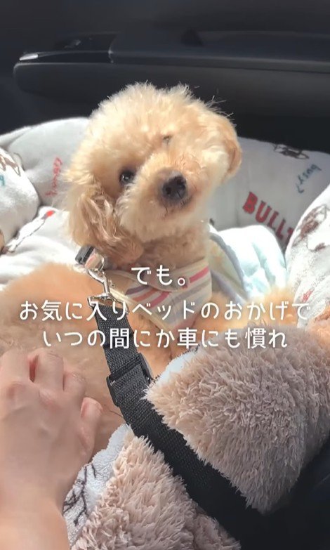 すいーぶ君の変化5