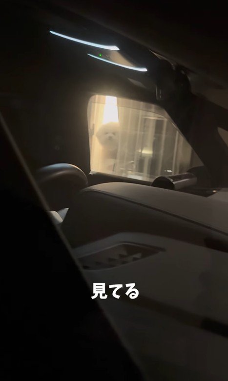 バレないで家を出られるか挑戦6