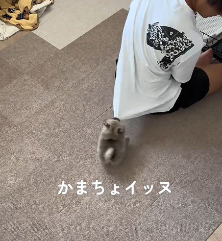 あまりにも可愛い…