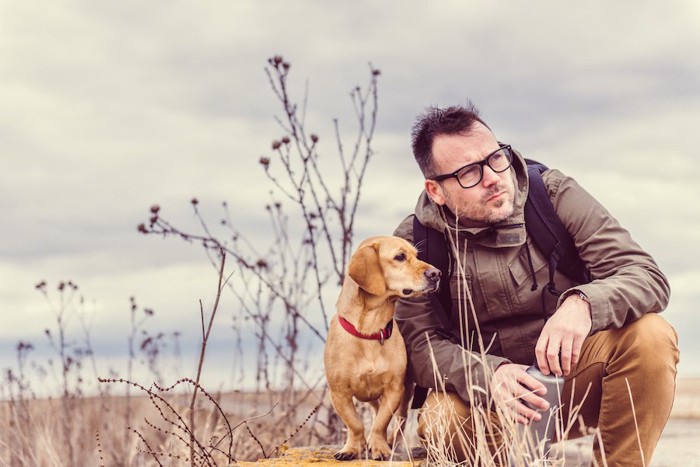 同じ方向を見つめる男性と犬