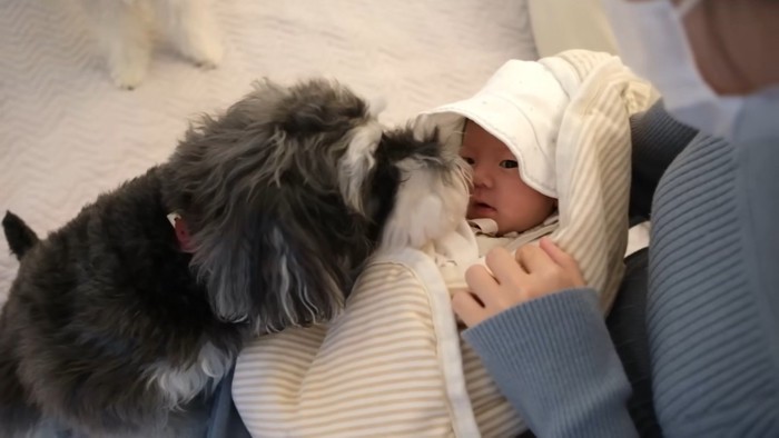 赤ちゃんに気付いて、匂いをクンクン…