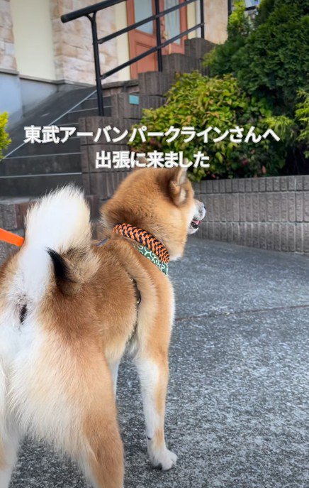 鉄道監視員のプロ