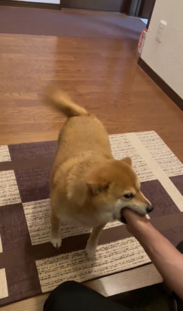 心ゆくまで