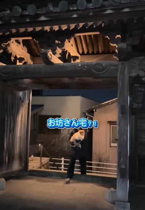 ちょっちゃんの年越し3