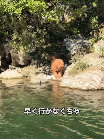岩場を慌てて…