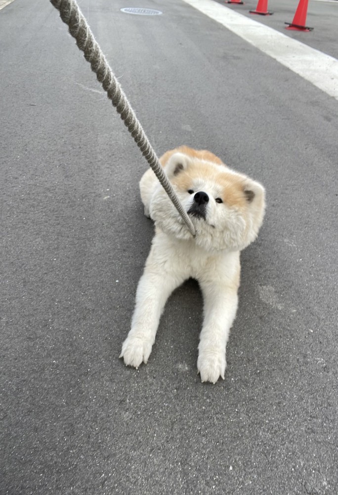 まさかの