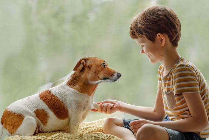 犬と握手する男の子