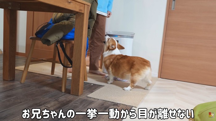 お兄ちゃんに夢中