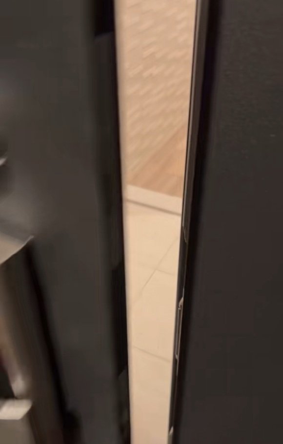 玄関を開けた飼い主さん