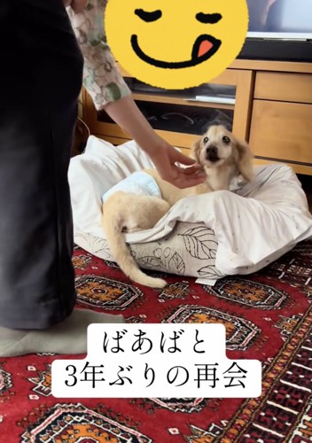 立ち上がろうとするなっちゃん