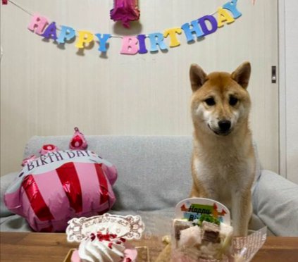 1歳