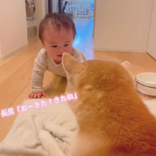 目標はハルちゃんのところ