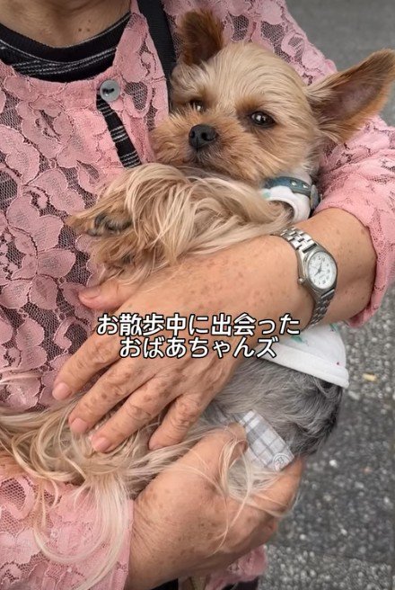 すっぽり腕の中へ!