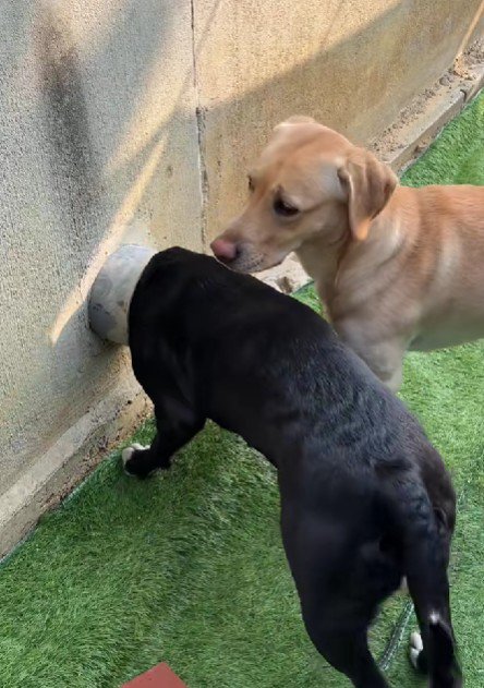 列になって順番を守る…♪