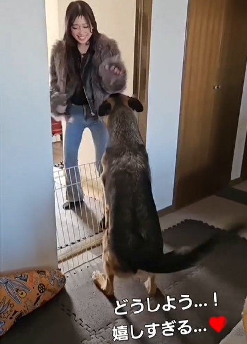 お姉ちゃんと犬1