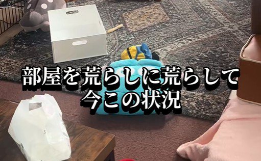 遊んでいるうちに部屋が荒れ放題に！