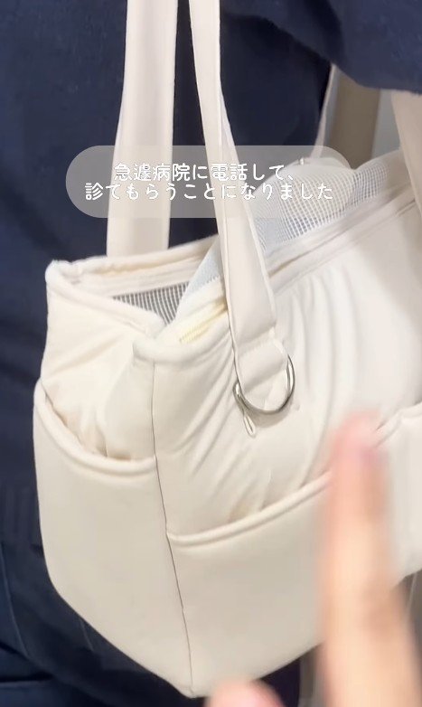 注射後のぱうちゃん5