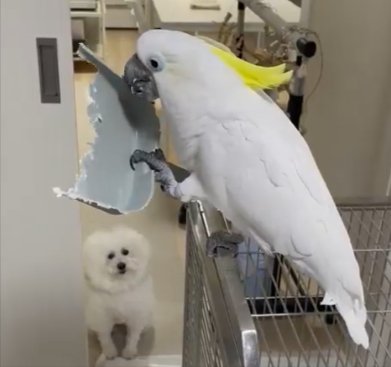 監視中