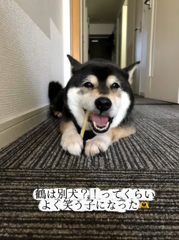 笑顔の鶴ちゃん