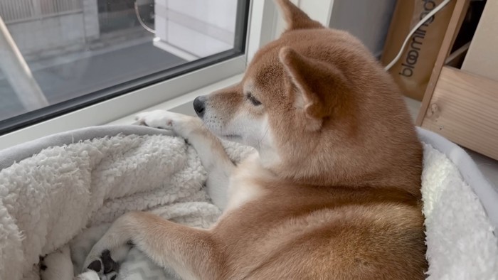 「ひと仕事終わった…」