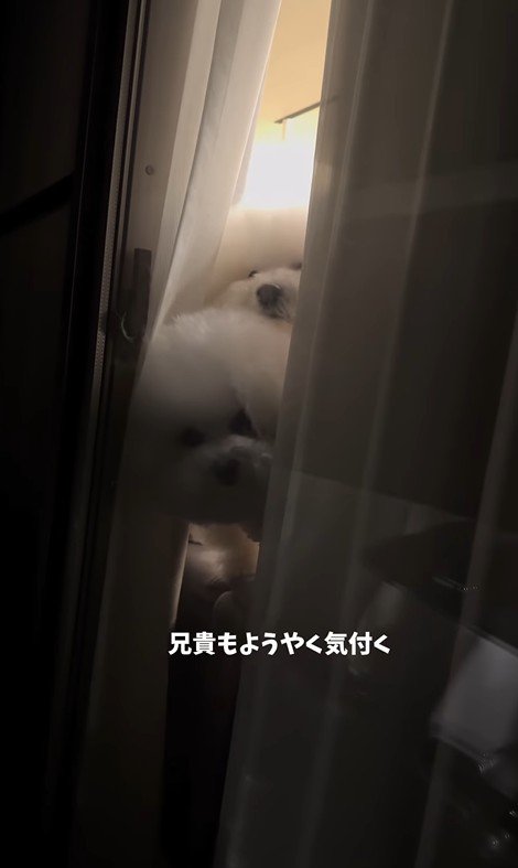 バレないで家を出られるか挑戦8