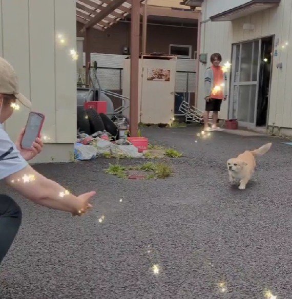 テクテク駆け寄るメルちゃん