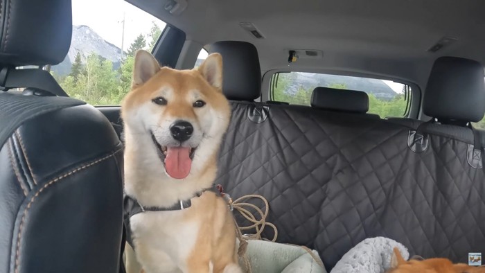 ソラくんはまだまだ元気そう！