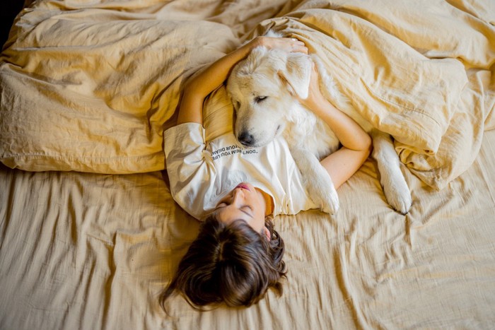 お腹の上で眠る大型犬