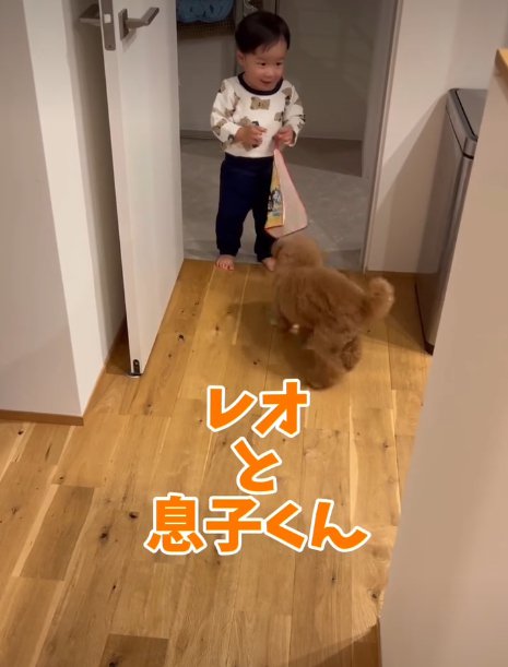 赤ちゃんと犬