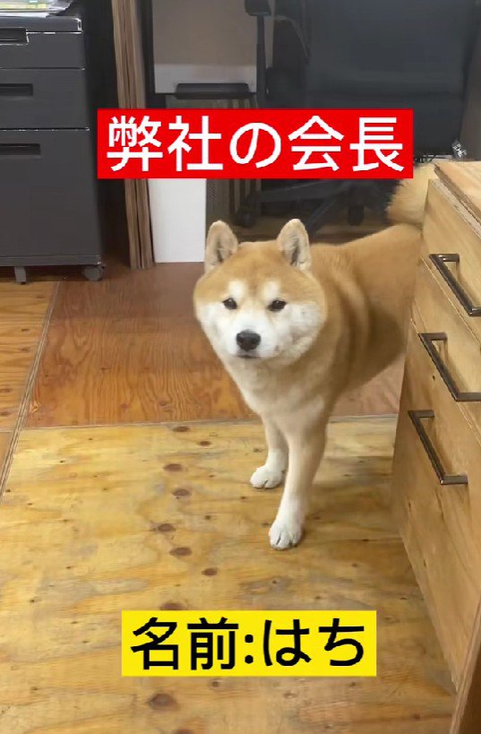 実は会社の会長さん！！