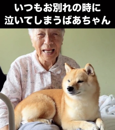 人のそばでくつろぐ犬