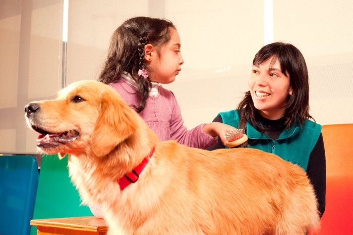 ドッグセラピー中の女の子と犬