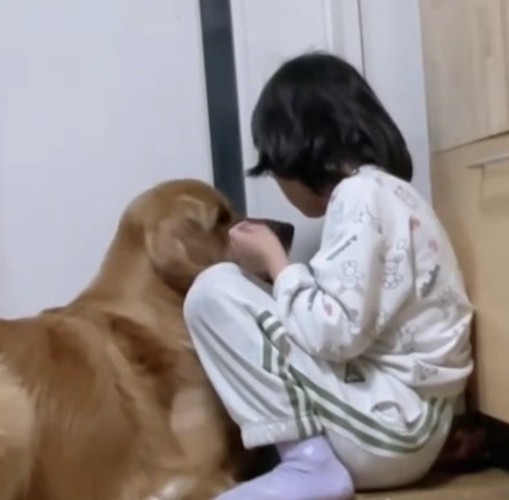 顔を寄せる犬と女の子