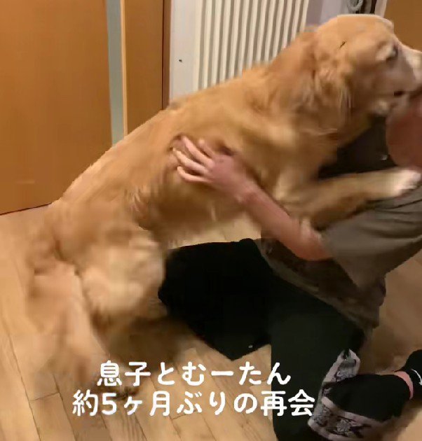 体当たりまで♪