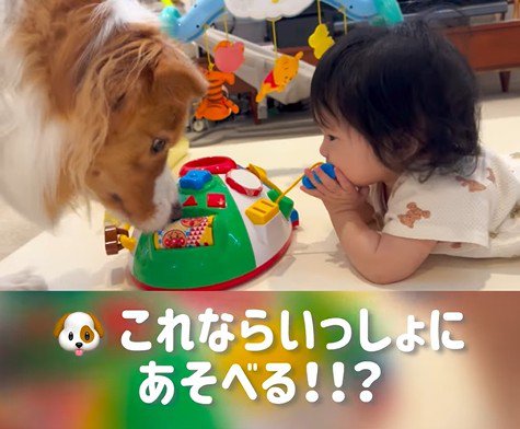 赤ちゃんを遊びに誘うまめ君9