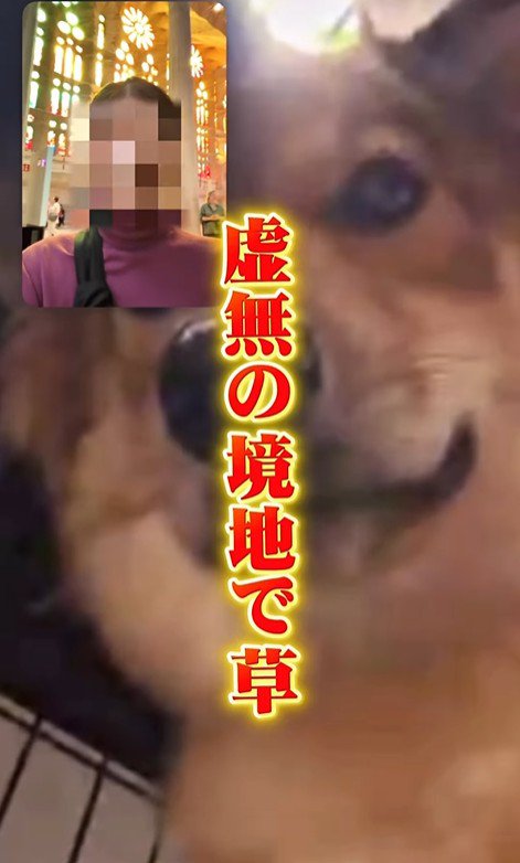 ママさん旅行中のラッキーくん9