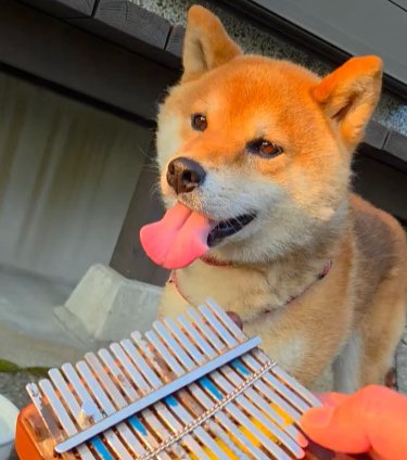 セッション