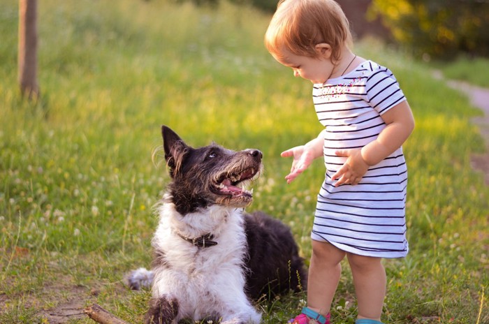 子供と犬