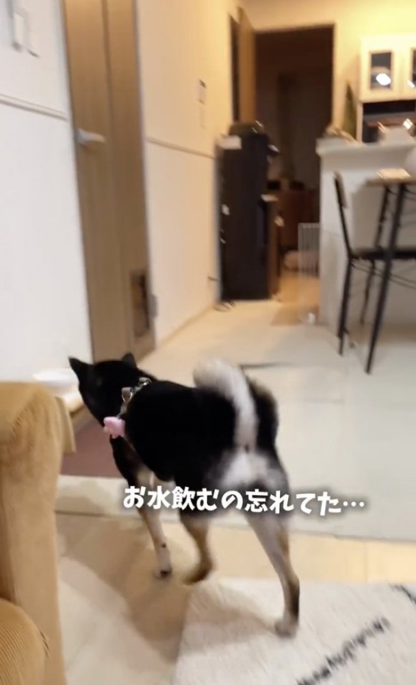 お水よりパパです