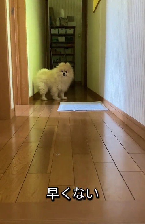 「ちょっと早くない？」