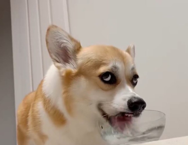 チラッ…
