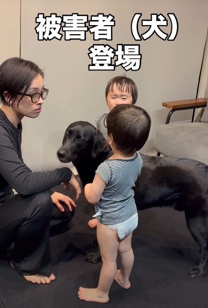「まぁまぁ落ち着いて」