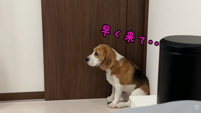 パパさんを待っています